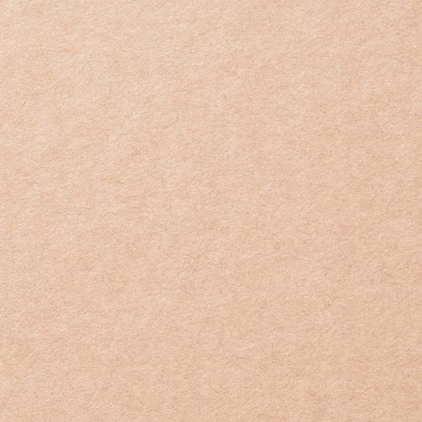 Muji 47549188 Pulp Board Box, Vertical and Horizontal A4 Size, 2 Tiers, Beige (2 Tiers), 14.8 x 11.4 x 28.7 inches (37.5 x 29 x 73 cm) Supply - Image 2